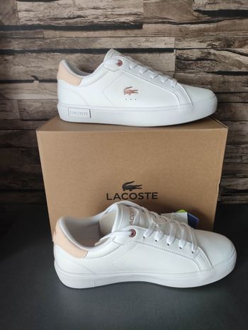 Basket Lacoste