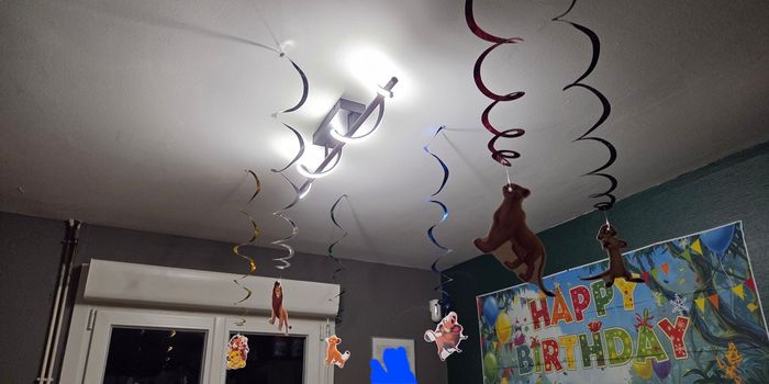 Decoration d'anniversaire roi lion - photo numéro 4