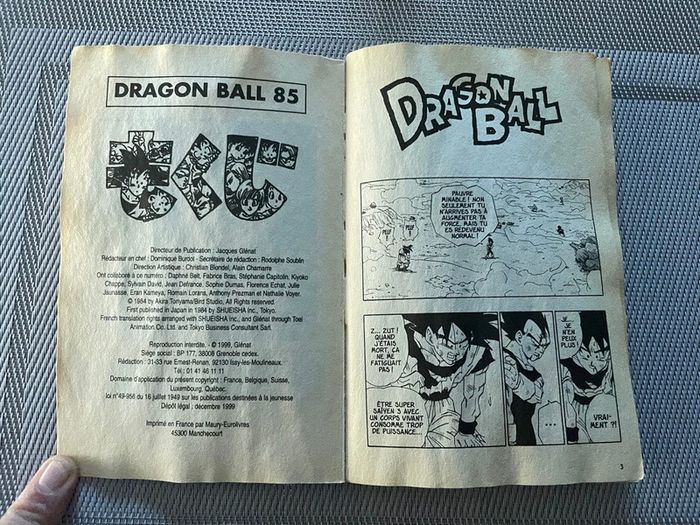 Manga Dragon Ball Tome 85 - photo numéro 2