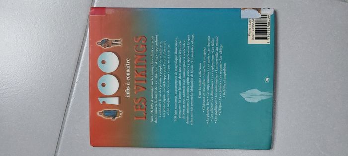 100 infos à connaître Les Vikings - photo numéro 3