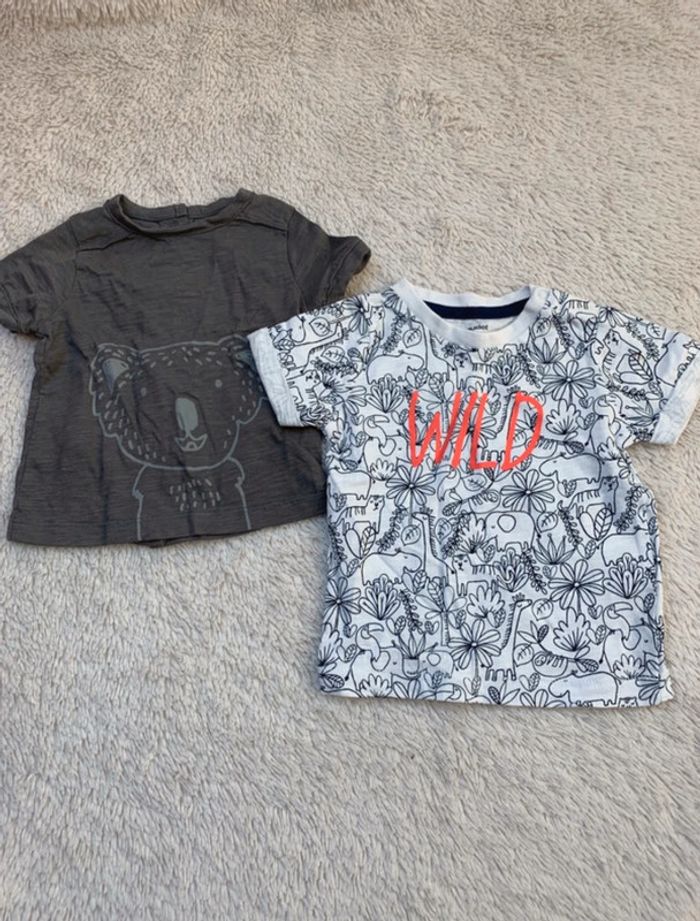 Lot tee-shirts Vertbaudet