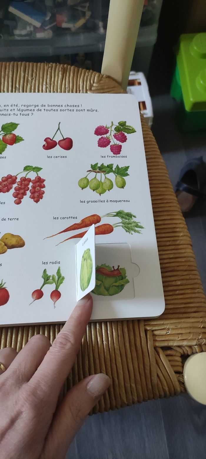 Mon premier livre des saisons - photo numéro 3