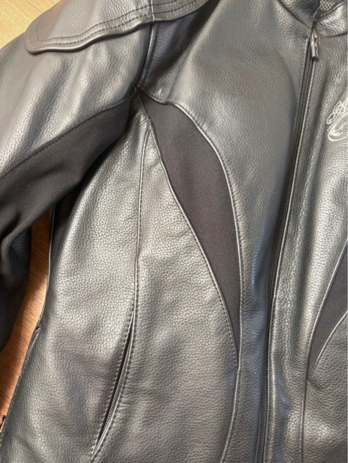 Blouson moto cuir Alpinestar - photo numéro 4