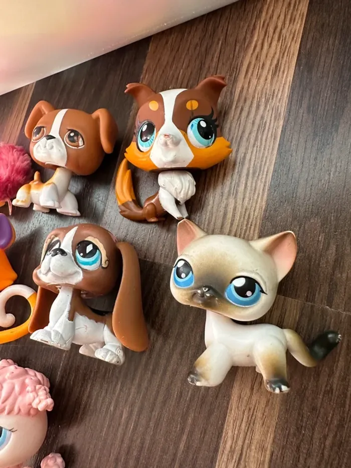 Lot petshop - photo numéro 5