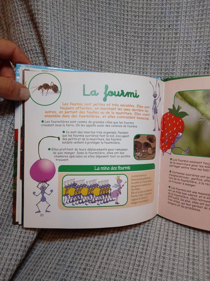La Cigale et la Fourmi N.1 - Les Fables de la Fontaine / Ed. Altaya - photo numéro 11