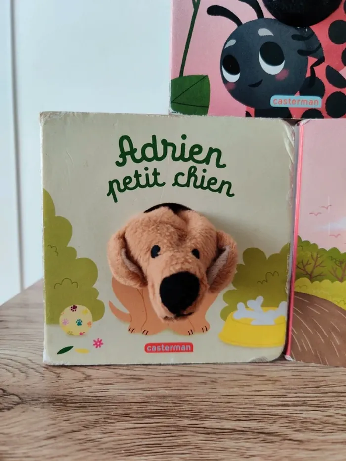Lot de 3 livres marionnettes Casterman Bébé Koala, Bébé coccinelle et Adrien petit chien - photo numéro 3