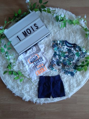 Lot 2 tee-shirts et 1 short
