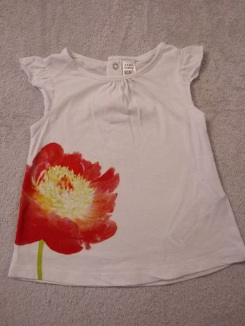 Tee-shirt Zara Baby (réf perso Q19)(familleac72)