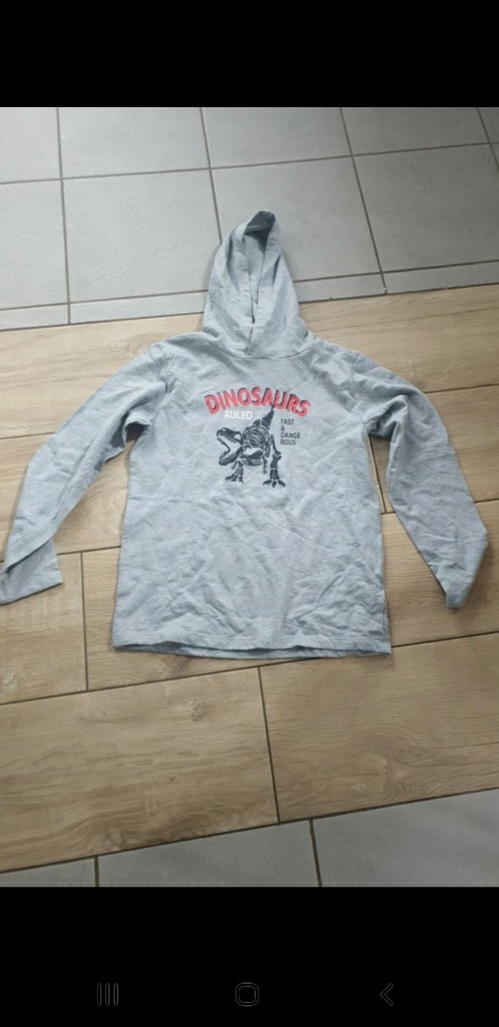 T-shirt épais dinosaure 12/14 ans