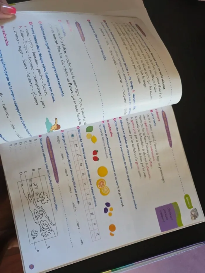 Lot livres ce1 la ruche aux livres et chute je lis - photo numéro 4