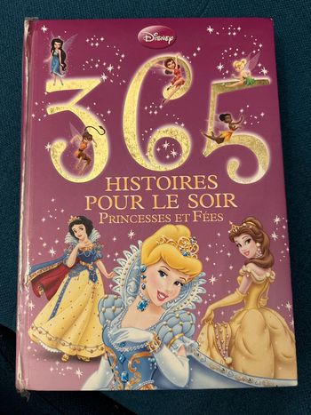 Grand livre 365 histoires pour le soir princesses et fées Walt Disney Hachette Jeunesse