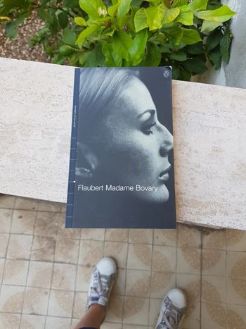 Madame Bovary Flaubert