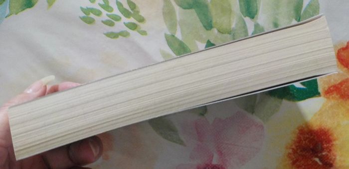 L'Espion français de Cédric Bannel Ed. Pocket - photo numéro 4