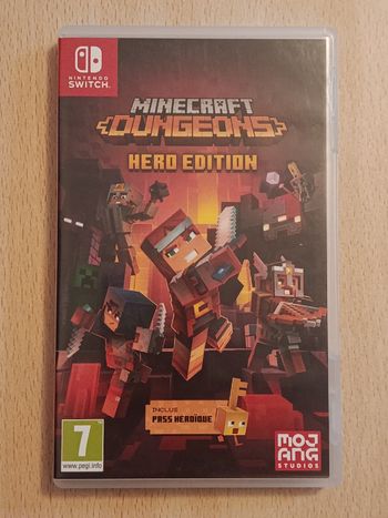 Minecraft Dungeons Switch