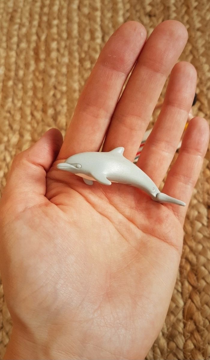Surfeuse et un bébé dauphin 
Playmobil
Excellent état 
Complet - photo numéro 3