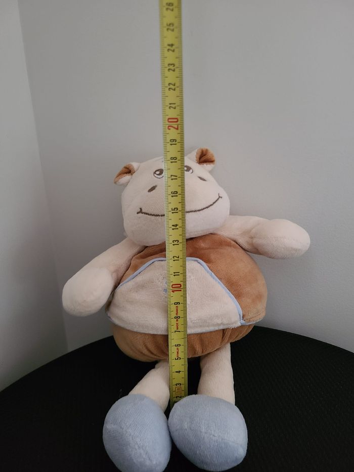 hippopotame - photo numéro 4