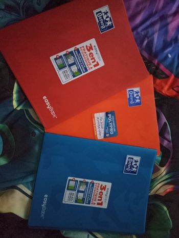 Lots 3 cahier oxford 96 pages 24 x 32
