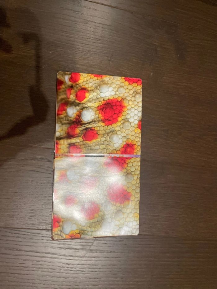 Drôles de peaux! - photo numéro 4