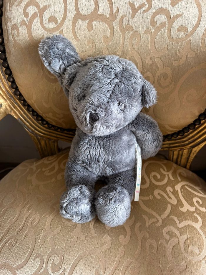 Petit ourson gris - photo numéro 15