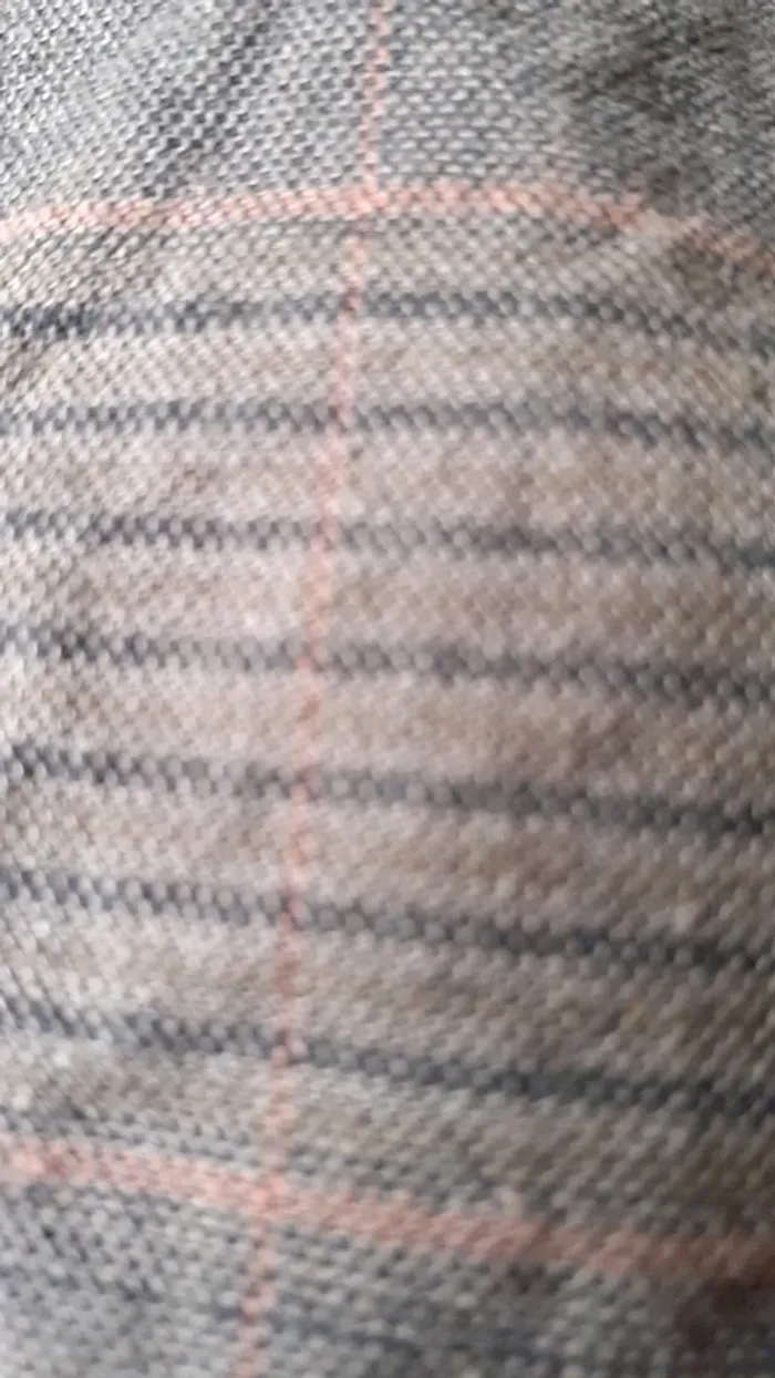 Short - photo numéro 2