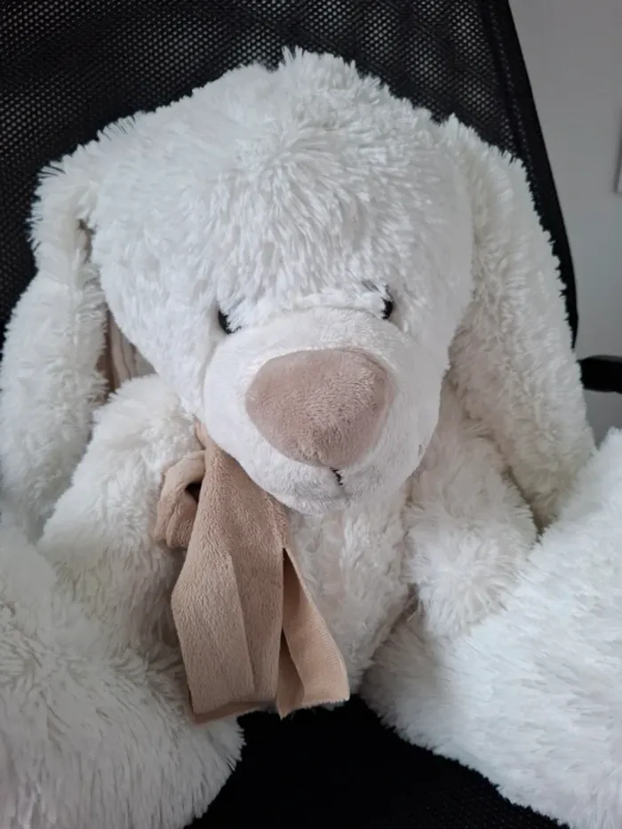 Peluche chien - photo numéro 2