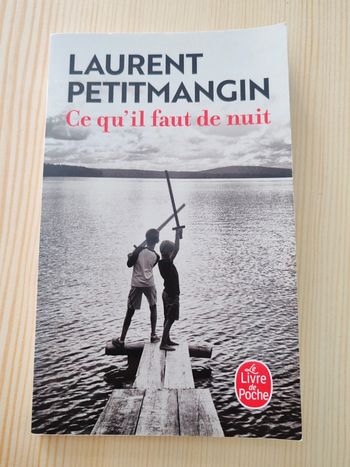 Laurent Petitmangin 🟣 Ce qu'il faut de nuit