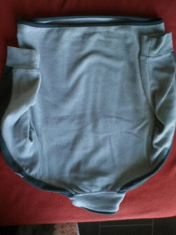 Polaire orchestra 8ans