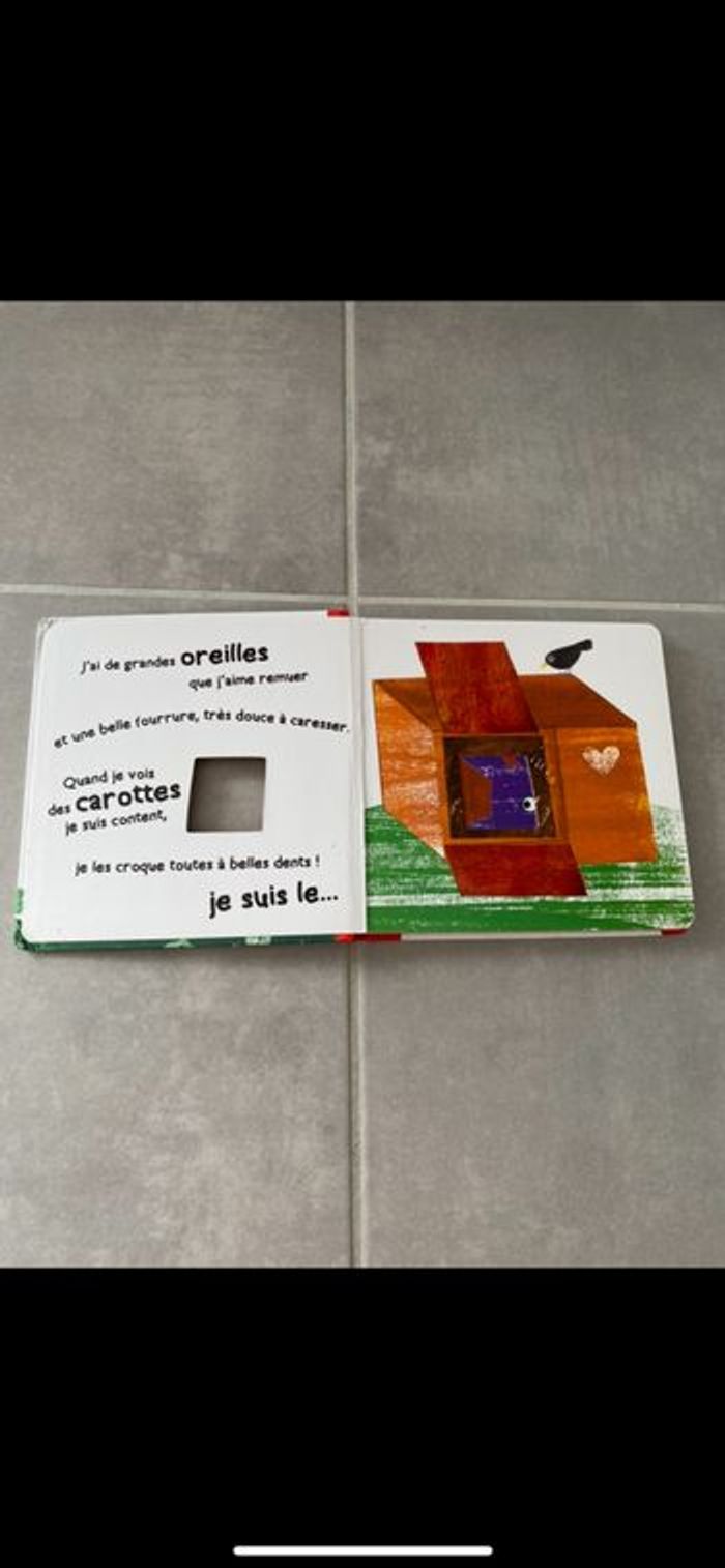 Livre Coucou je vis ici ! - photo numéro 3