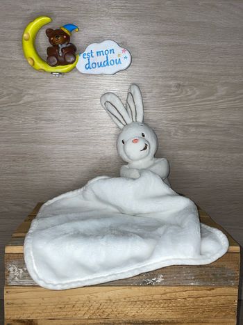 ACH09 doudou lapin 🐰 Auchan
