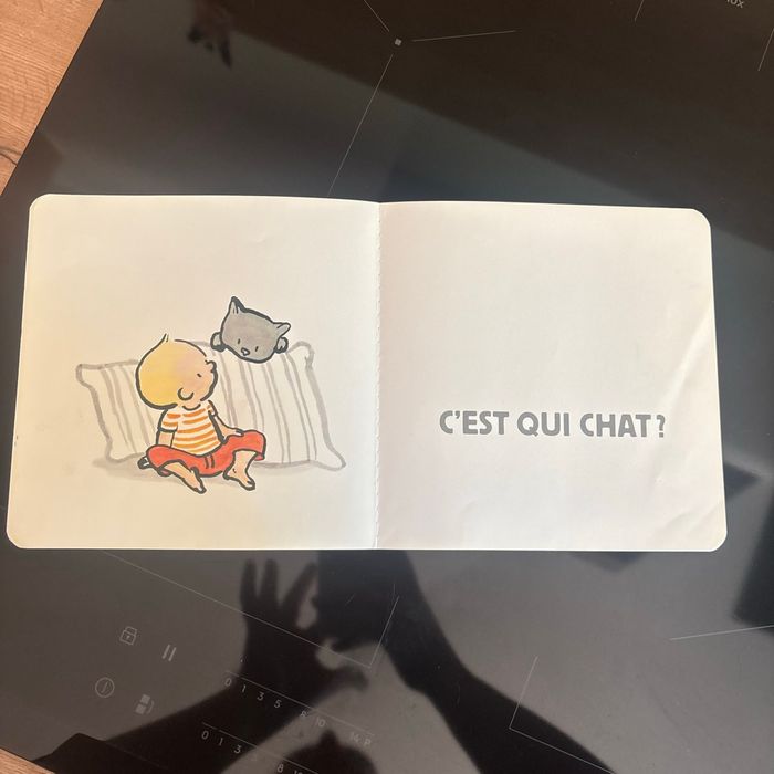 C’est qui chat? - photo numéro 2