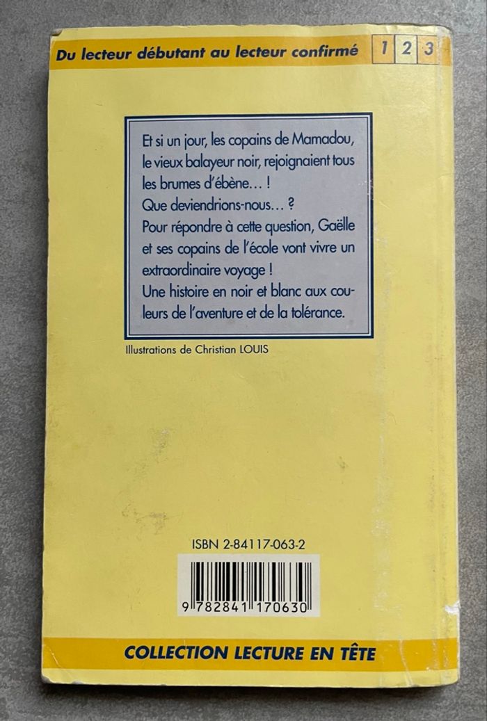 Livre les brumes d’ébène - photo numéro 3