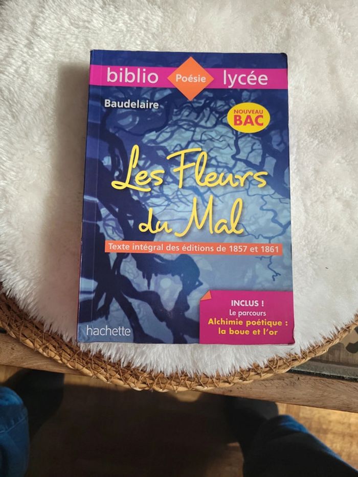 Les fleurs 🌸 du mal. Baudelaire - photo numéro 6