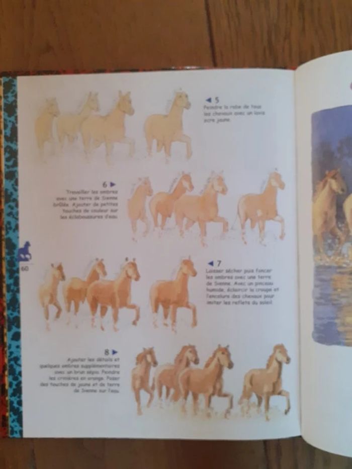 🐎 Dessiner et peindre les chevaux - photo numéro 2