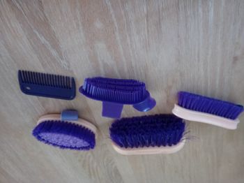 Lot 5 brosses de pansage Fouganza - Excellent état