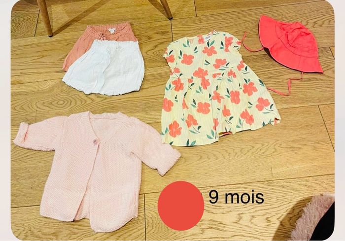 Lot vêtements bébé fille 9 mois