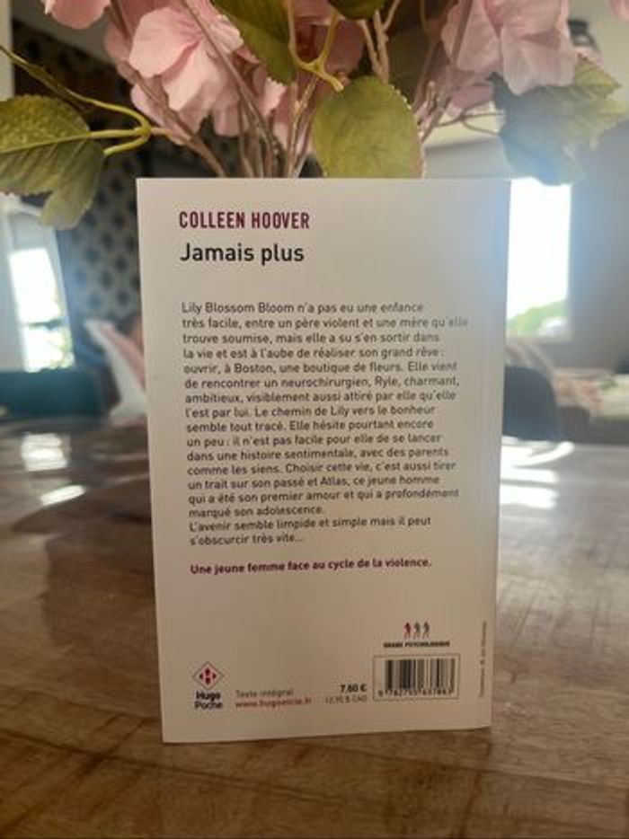 LIVRE JAMAIS PLUS COLLEEN HOVER - photo numéro 2