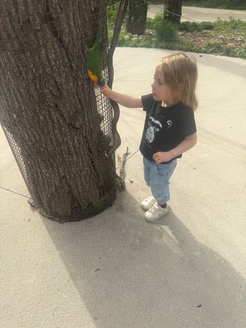 Vêtements fille de 0 à 4 ans 1€ pièces ou40€