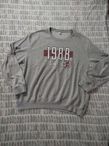 Sweat gris imprimé ras de cou tex xxxl 46