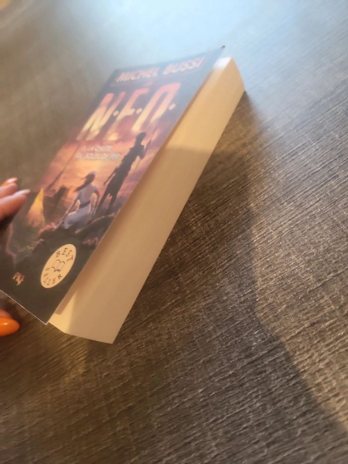 Livre Neo la chute du soleil de fer - photo numéro 2