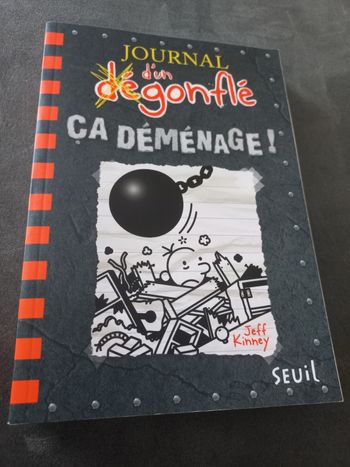 Livre roman journal d'un dégonflé tome 14