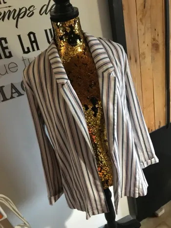 Veste tailleur à rayure