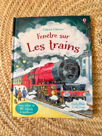 Livre fenêtres sur les trains 
