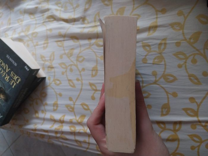 Romans Trilogie complète Angelfall tomes 1 à 3 L'Ultime Espoir Susan Ee - photo numéro 8