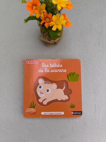 Livre Kididoc Les bébés de la savane Nathan