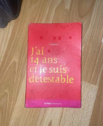 Livre j’ai 14 ans et je suis détestable 