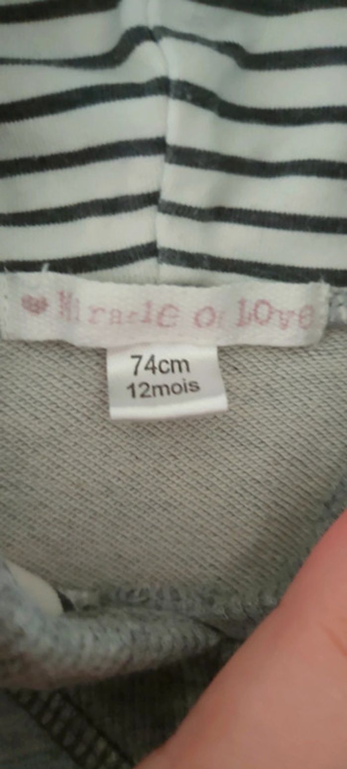 Pull sweat capuche 12 mois - photo numéro 2