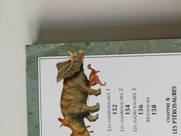 livre dinosaures - photo numéro 4
