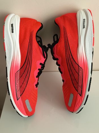 Très belle basket Puma velocity2