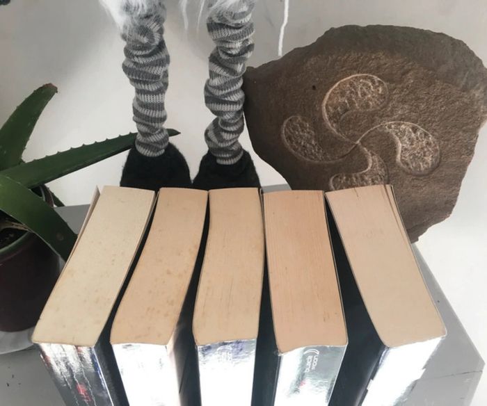 Livres le lot : le journal d’un vampire tome 1 à 5 - photo numéro 4