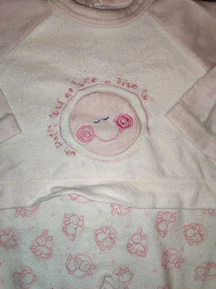 Grenouillere - photo numéro 3